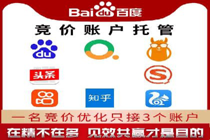 高效SEM托管服务：成功案例深度解析